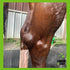 Draw It Out® 16oz High Potency Liniment Gel | No Tingle, No Mess