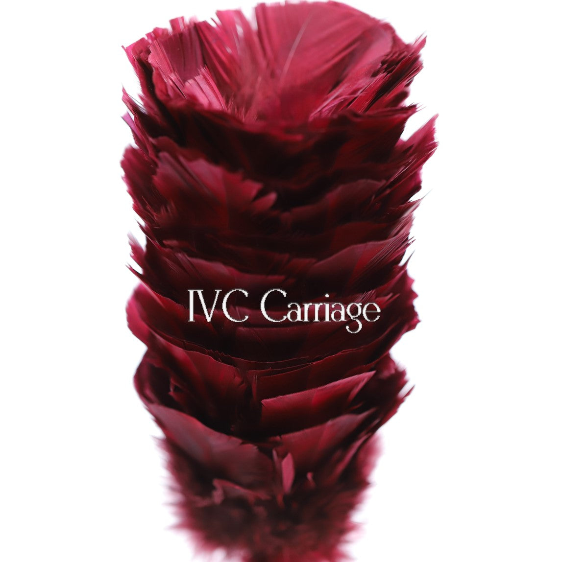Burgundy Feather Plume | IVC Carriage