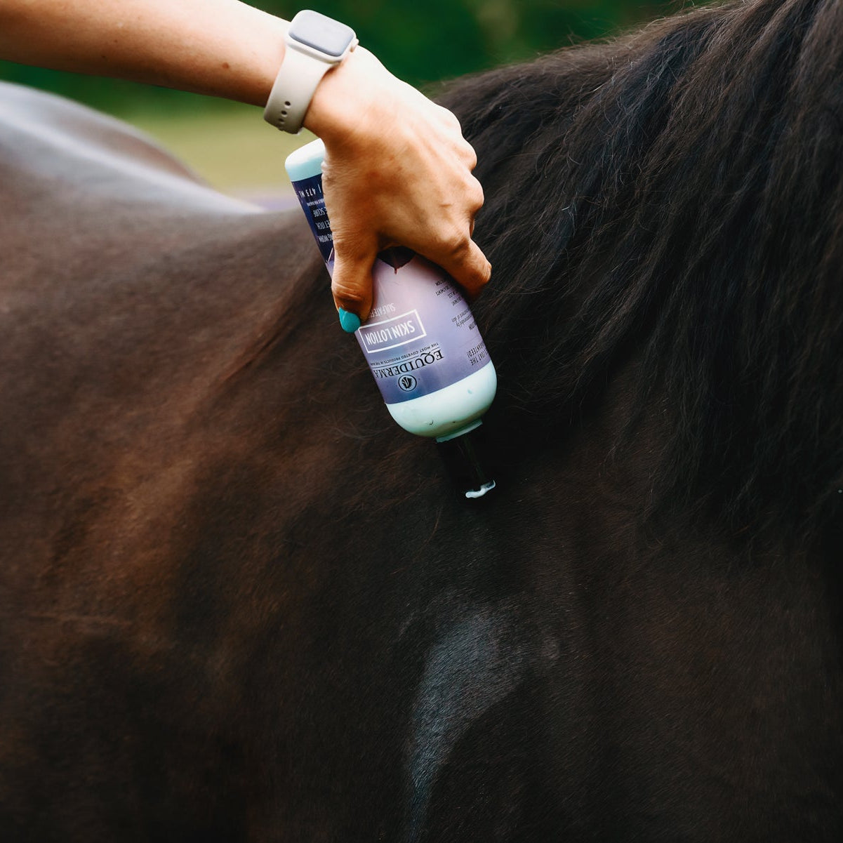 Equiderma Skin Lotion