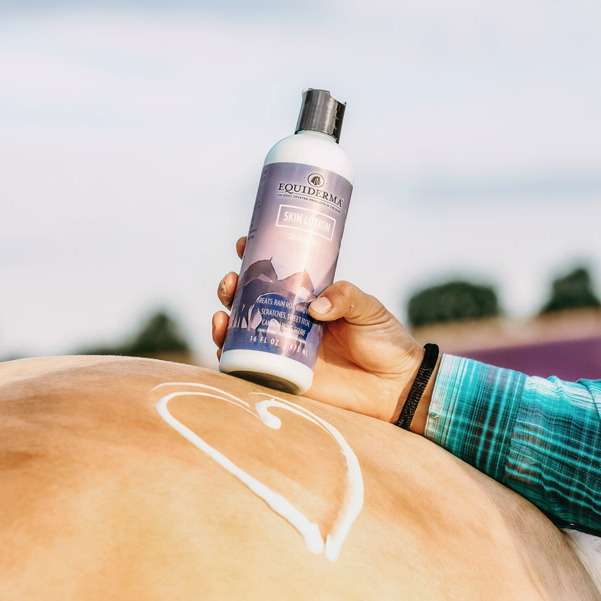 Equiderma Skin Lotion