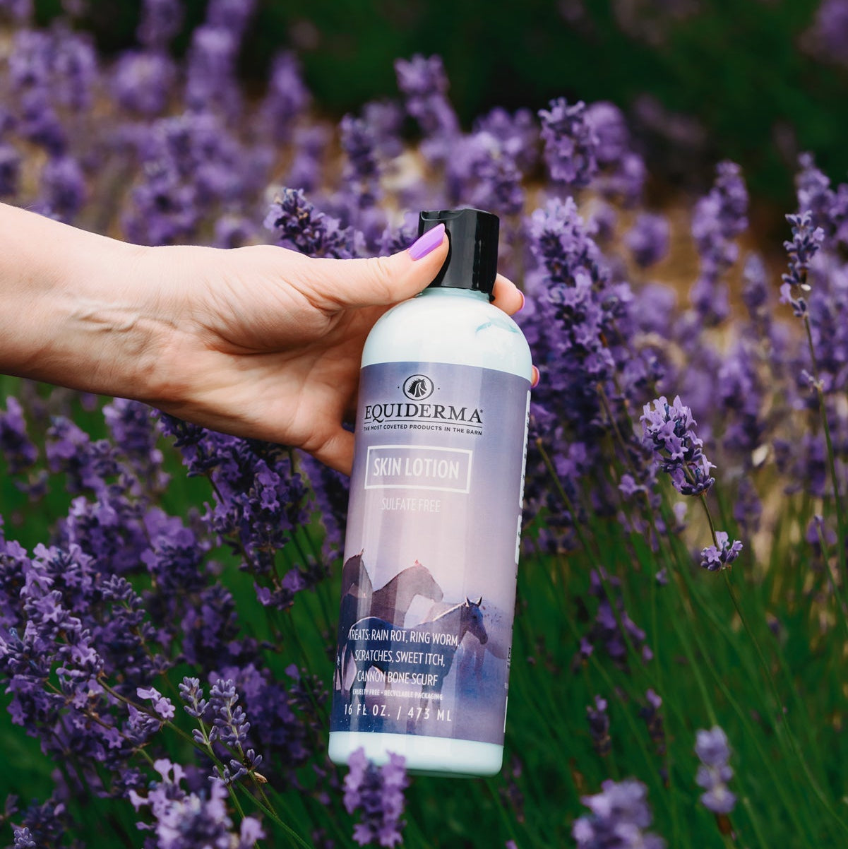 Equiderma Skin Lotion