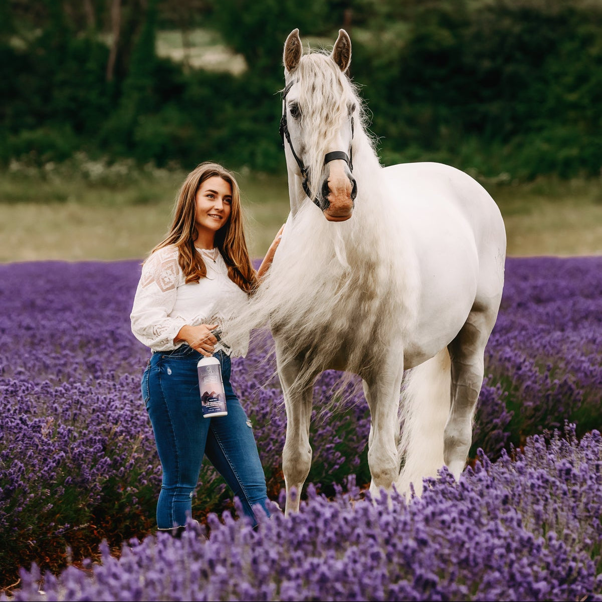 Equiderma Horse Spray