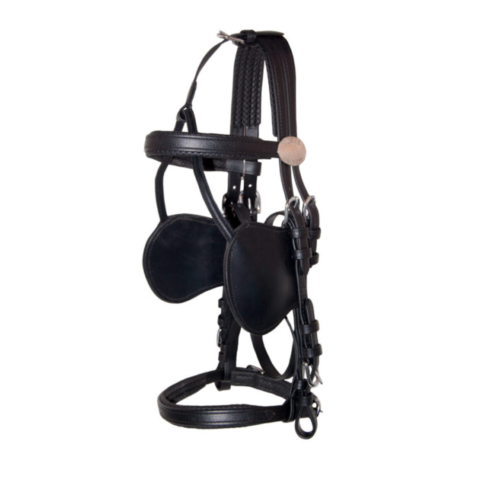 Ideal EuroTech Combi Bridle