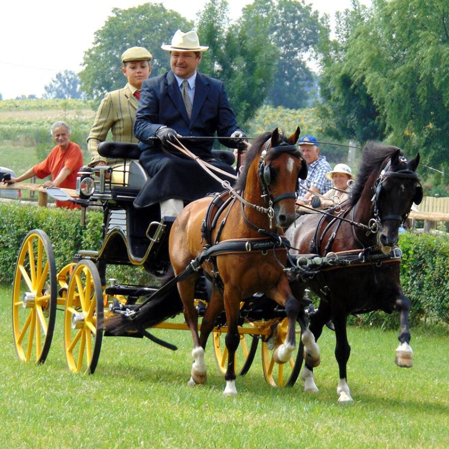 Pair Ideal EuroTech Combination Synthetic Harness on bay horses