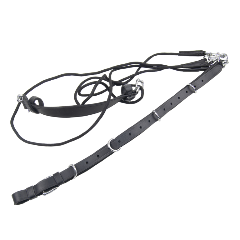 Ideal Gogue Lunging Aid