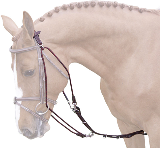 Ideal Gogue Lunging Aid on horse