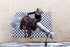 Portable Horse Stall Mat