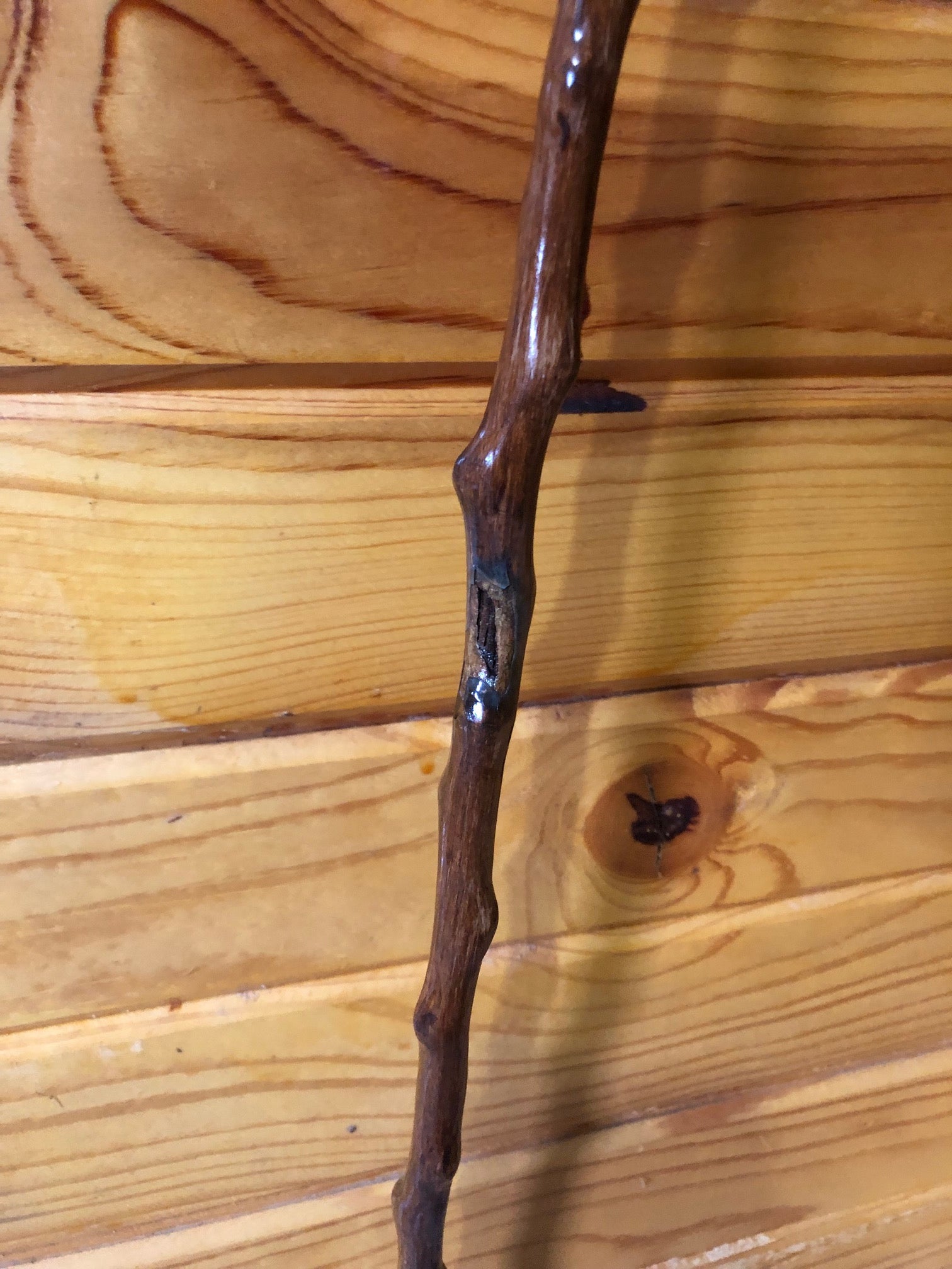 Used Holly Driving Whip