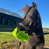 GreenGuard Mini Grazing Muzzle