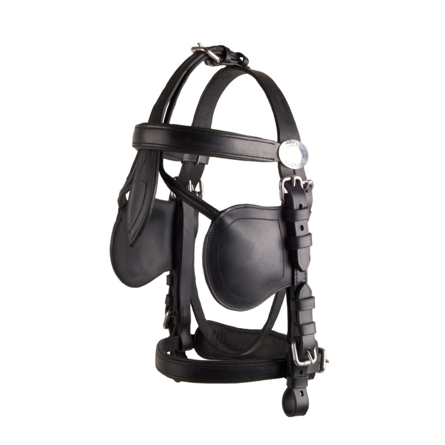 Ideal LeatherTech Bridle