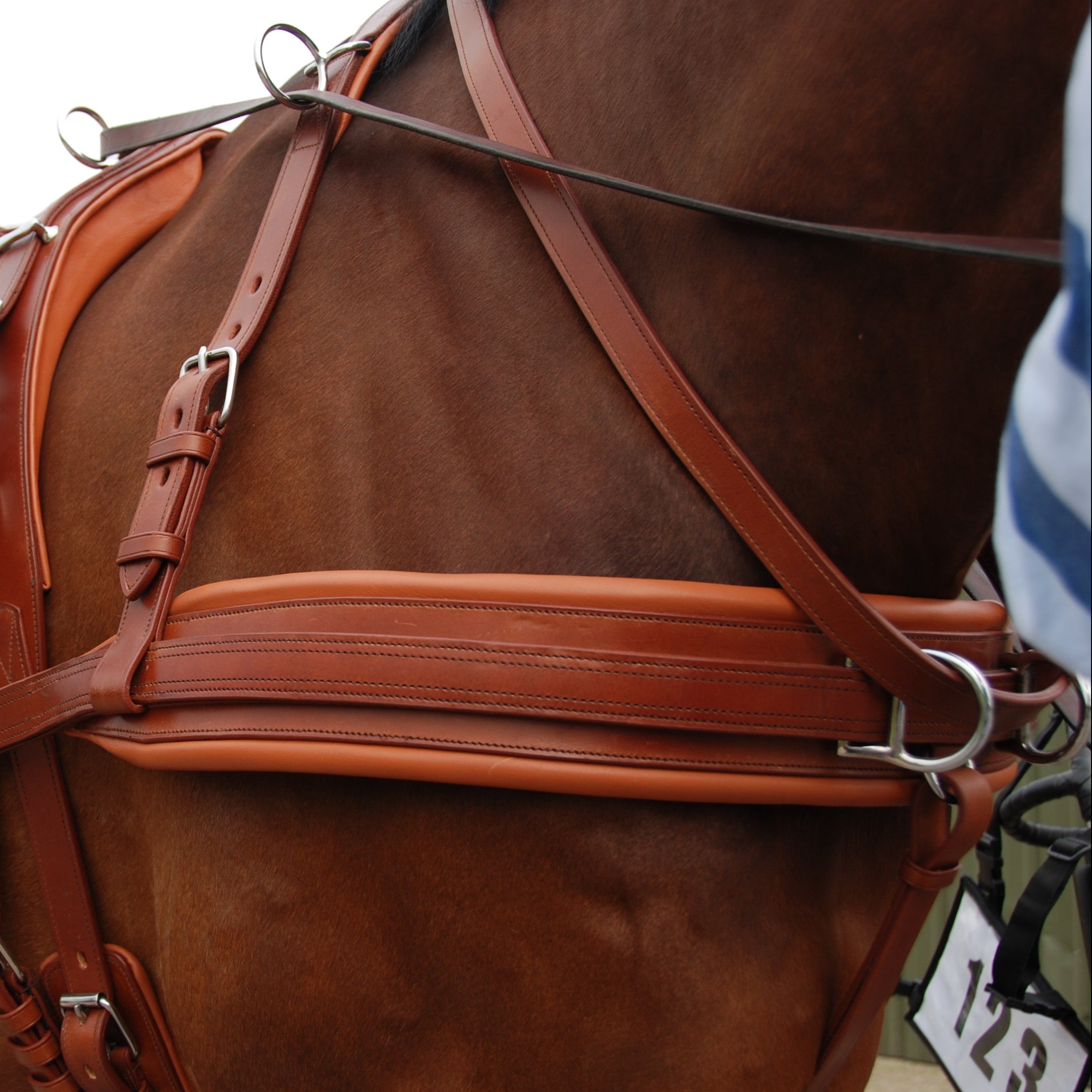 Ideal Chestnut LeatherTech Combination Harness