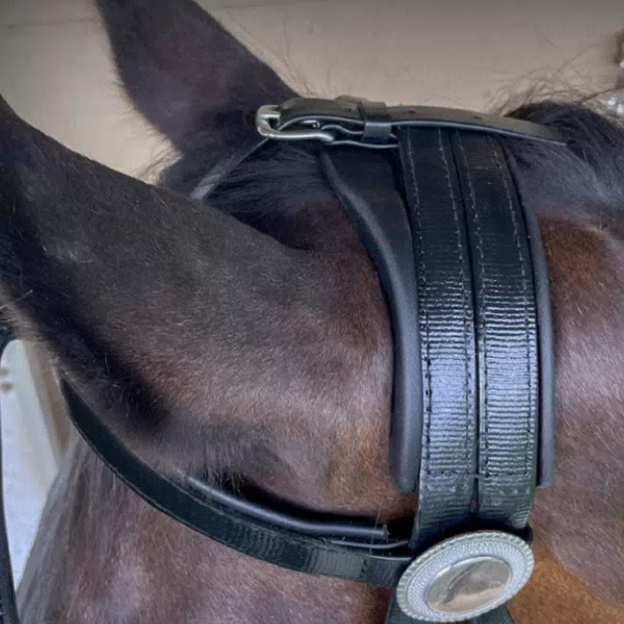 Zilco Contoured Padded Horse Harness Crown