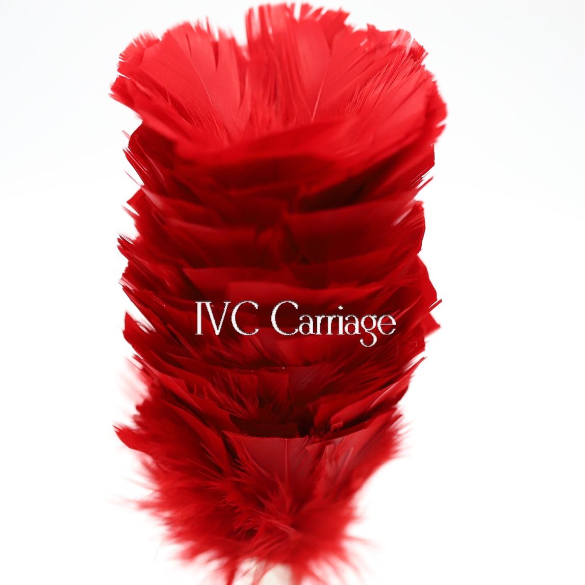 Red Feather Plume | IVC Carriage