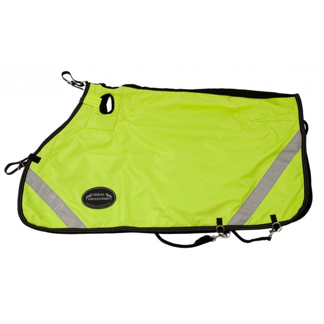 Reflective Horse Driving Quarter Sheet