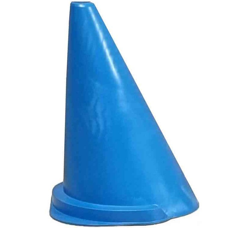 FEI Blue Carriage Driving Cone | IVC Carriage