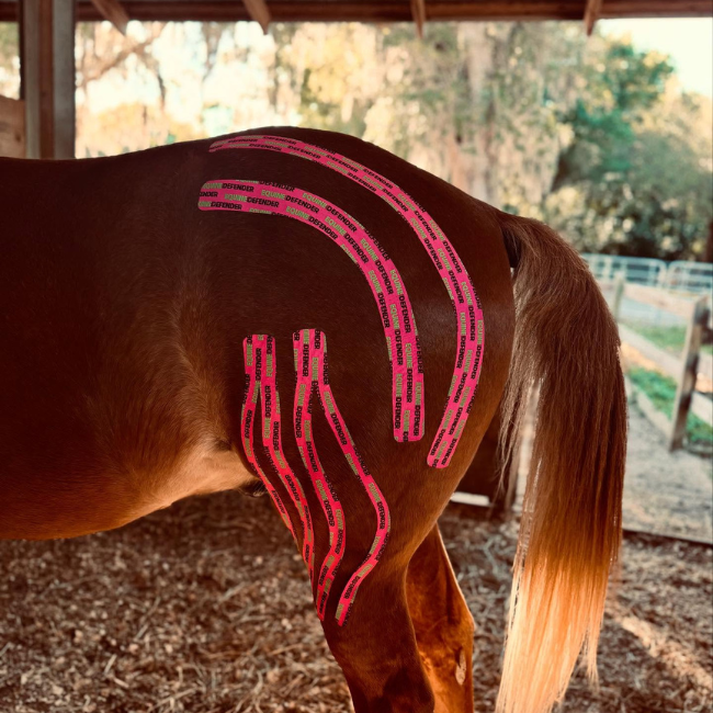 EQUINE|DEFENDER™ Kinesiology Tape