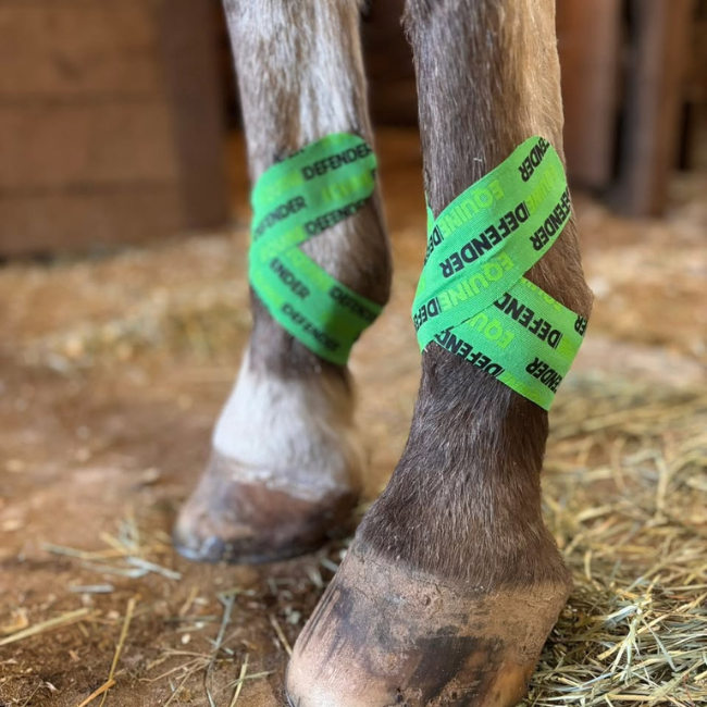 DrawitOut kinesiology green tape on Horse legs.