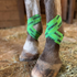 DrawitOut kinesiology green tape on Horse legs.