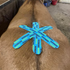 Blue DrawitOut kinesiology tape on a horse's rear