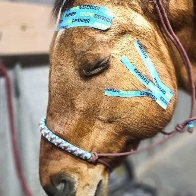 EQUINE|DEFENDER™ Kinesiology Tape