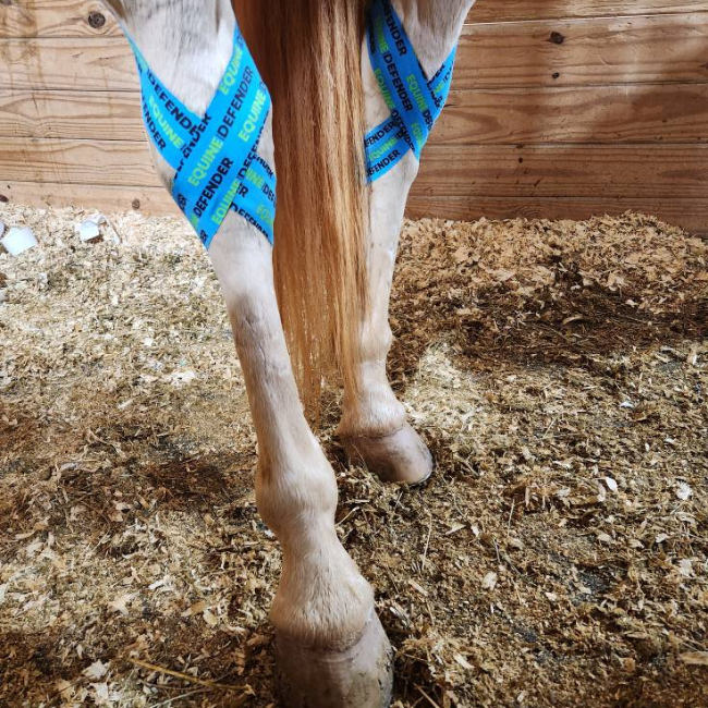 EQUINE|DEFENDER™ Kinesiology Tape