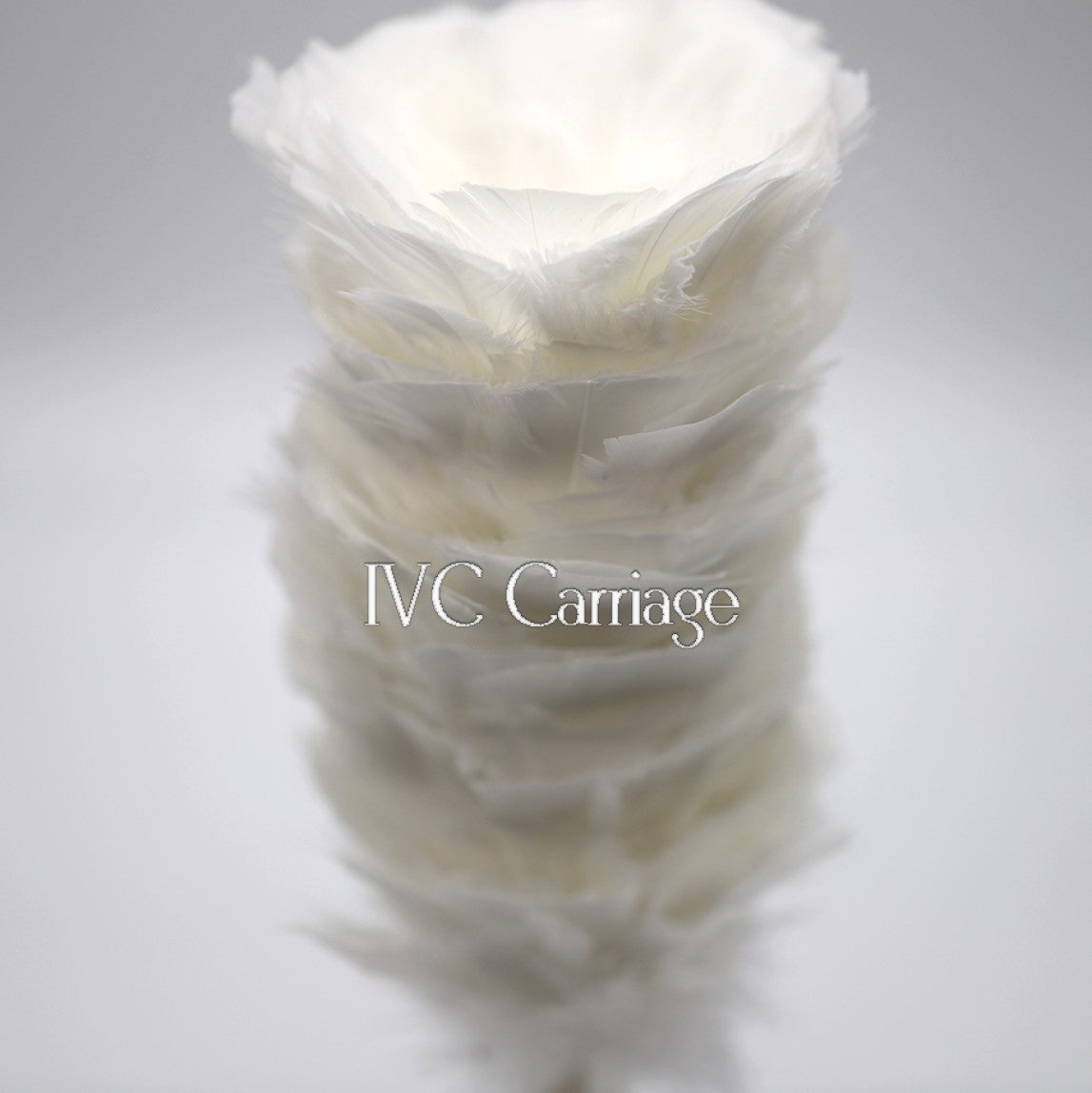 White Feather Plume | IVC Carriage