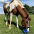 GreenGuard Grazing Muzzle