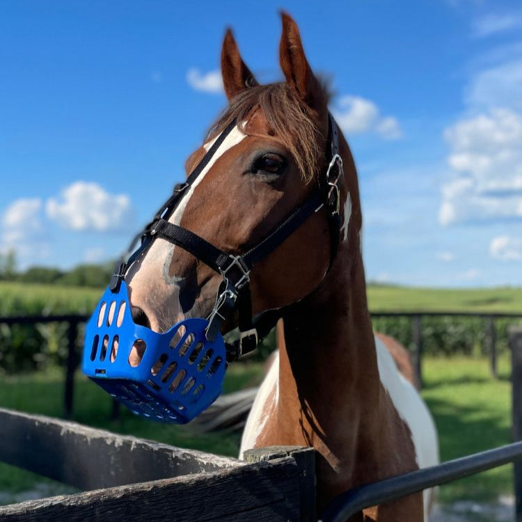 GreenGuard Grazing Muzzle