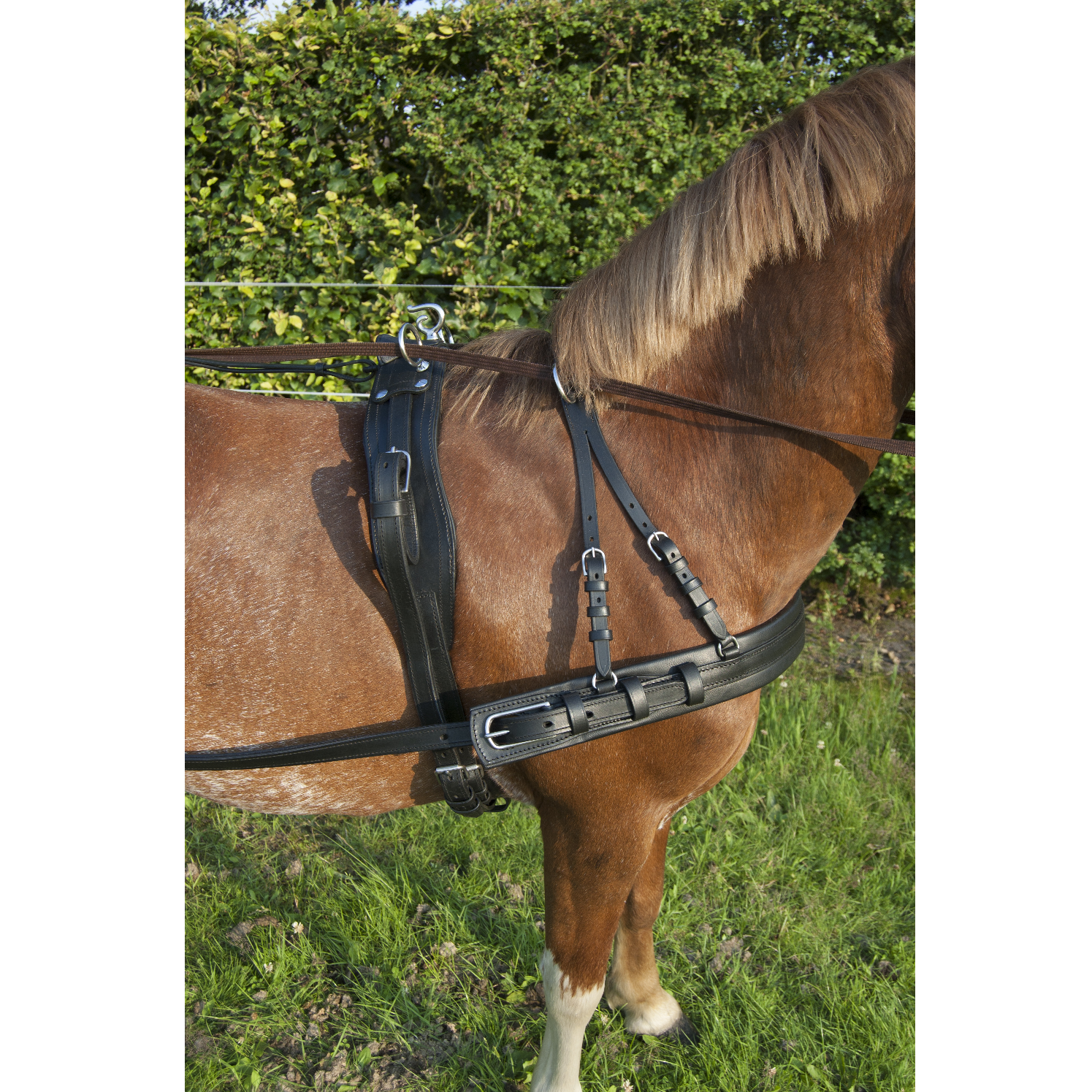 Ideal EcoLine Leather breast collar and saddle