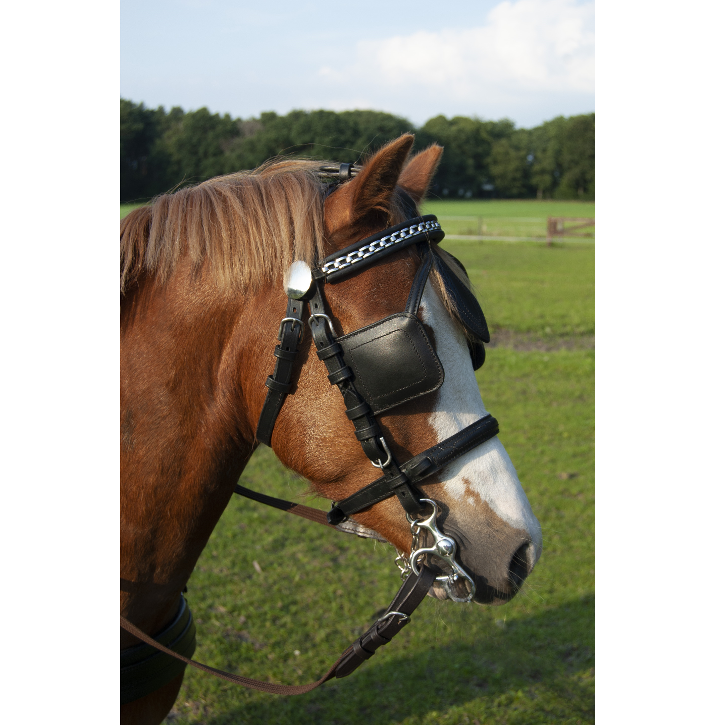 Ideal EcoLine Leather bridle
