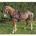 Ideal EcoLine Leather Harness on pony