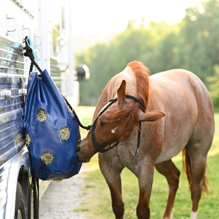 HayPlay Slow Feed Tie Bag