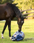 HayPlay Slow Feed Tie Bag