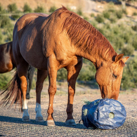 HayPlay Slow Feed Tie Bag
