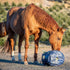 HayPlay Slow Feed Tie Bag