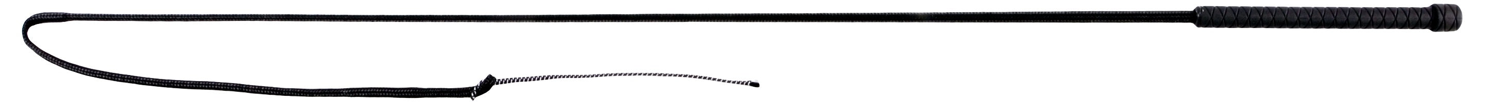 Inexpensive Buggy Carriage Whip | IVC Carriage