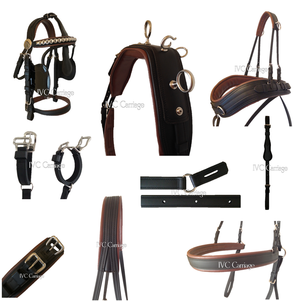 Miniature Horse Harness IVC Carriage