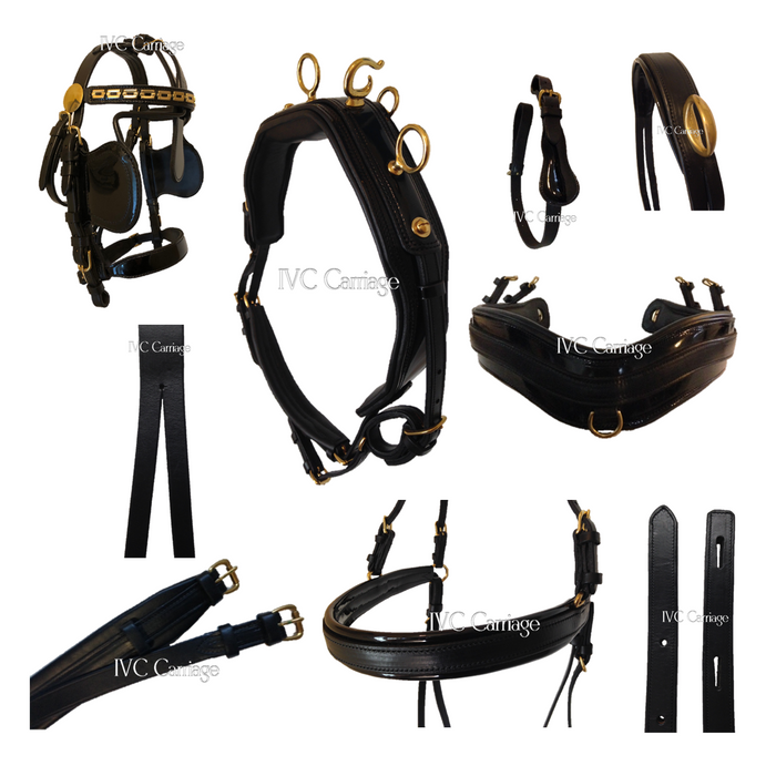 IVC Enhanced Leather Horse Harness