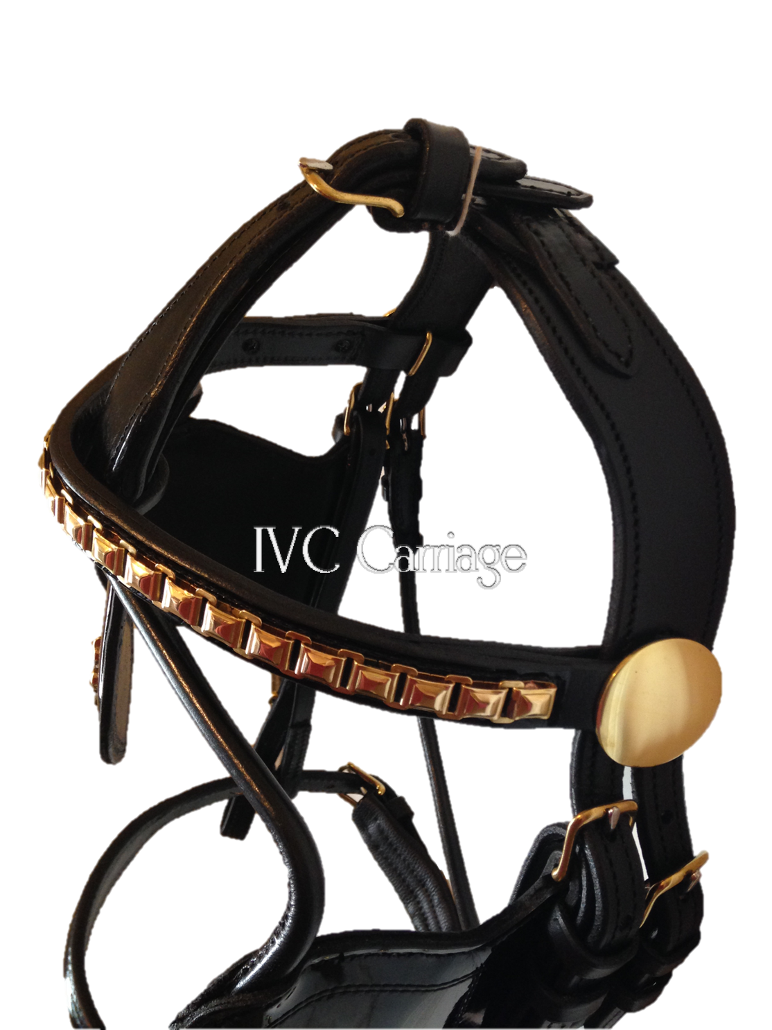 IVC Extra Elite Leather Harness Bridle