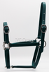 BioThane Nose Buckle Halter Forest | IVC Carriage