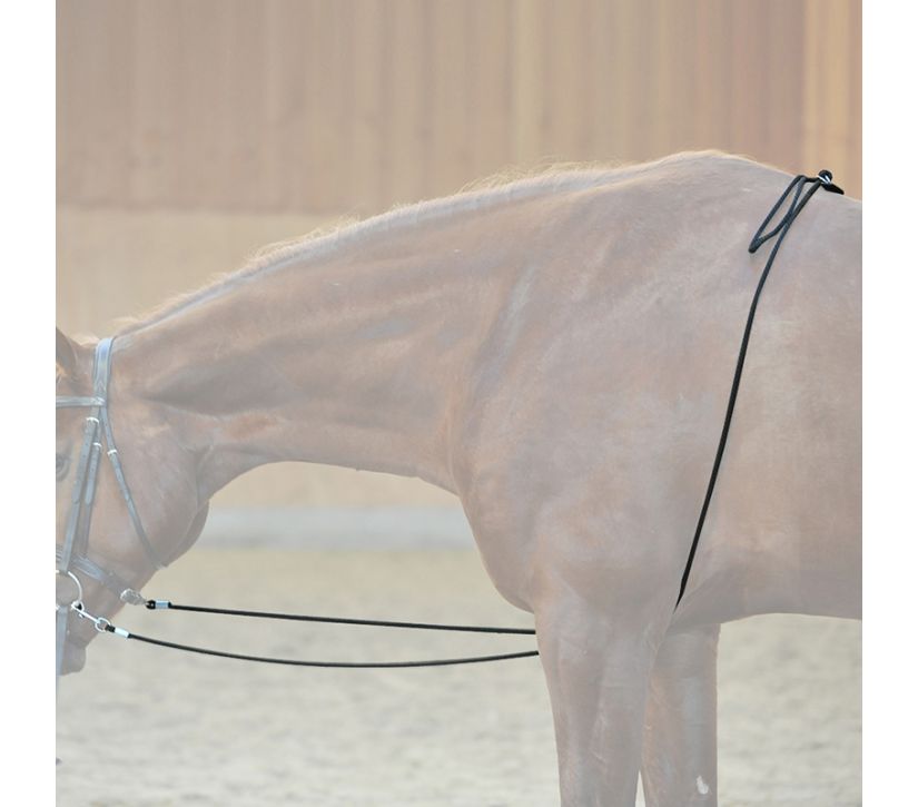 Kavalkade HO Lunging Rope | IVC Carriage