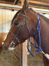 BioThane Nose Buckle Halter | IVC Carriage