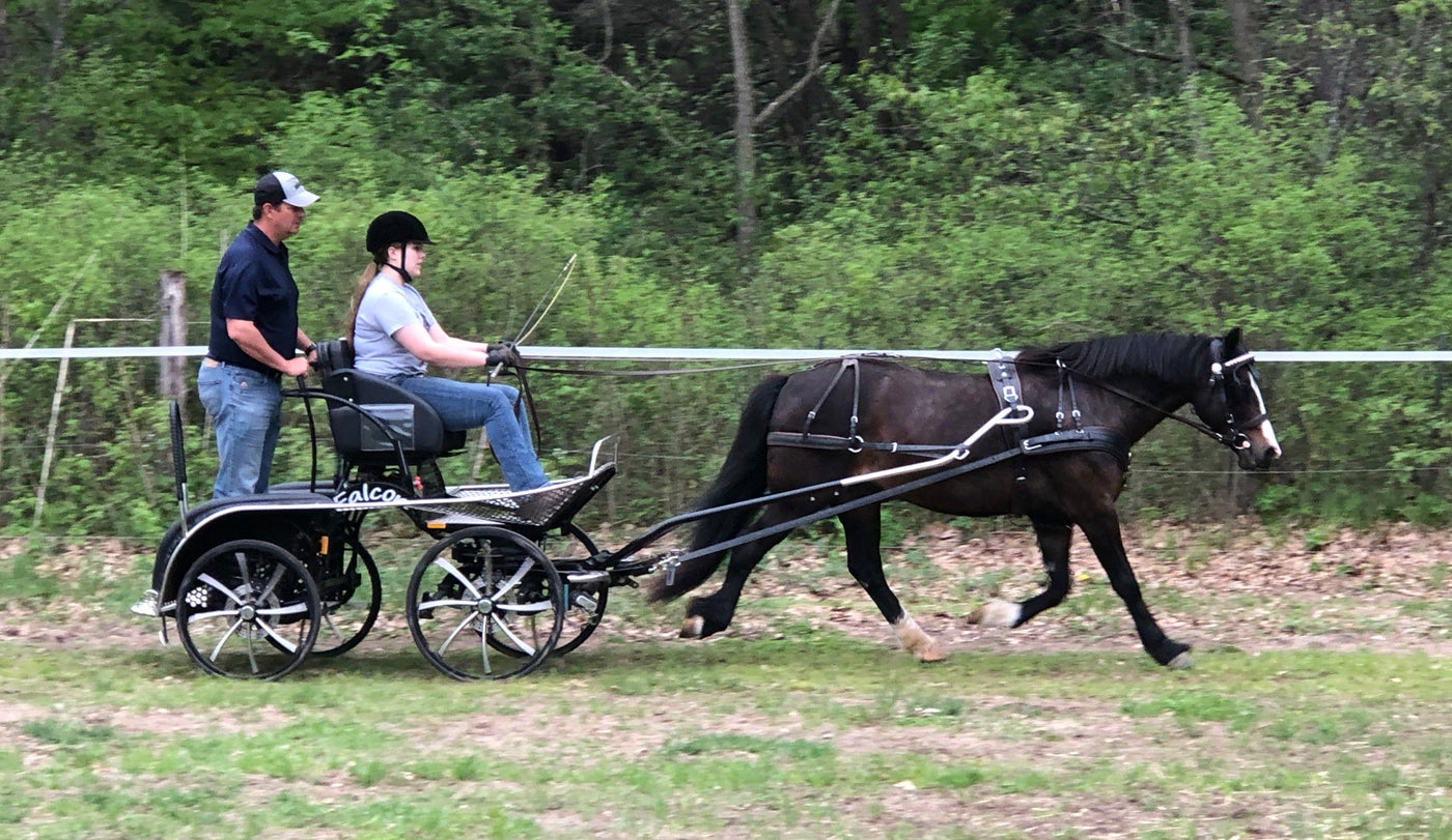 Biothane Mini Harness IVC Endura BioThane Beta Draft Horse Carriage Harness | IVC Carriage