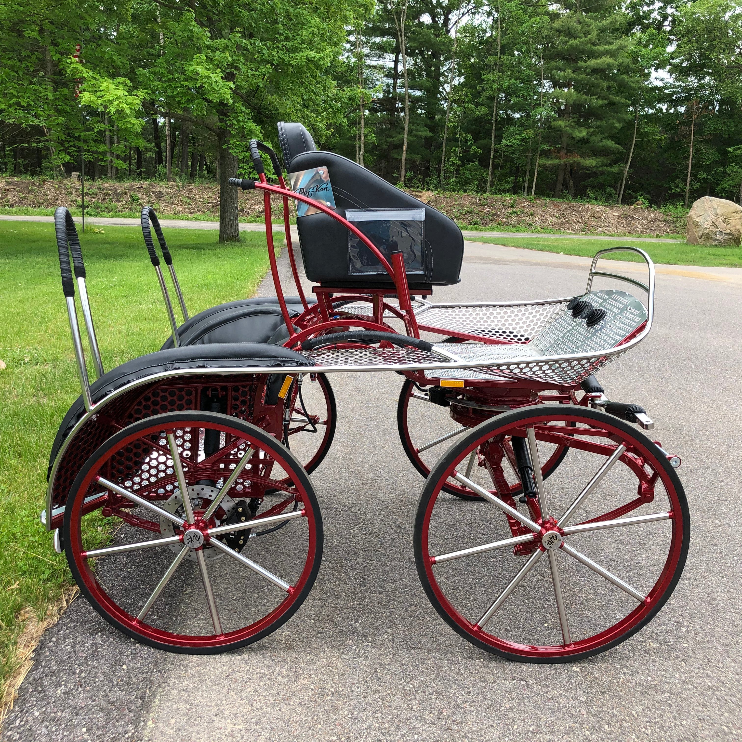 Lightning Marathon Carriage | Midwest Custom Carriages