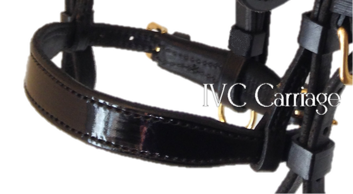 IVC Traditional Leather Noseband