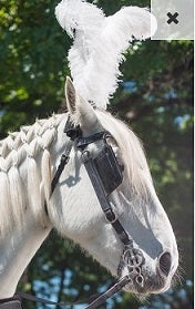 Ostrich Feather Horse Bridle Plume