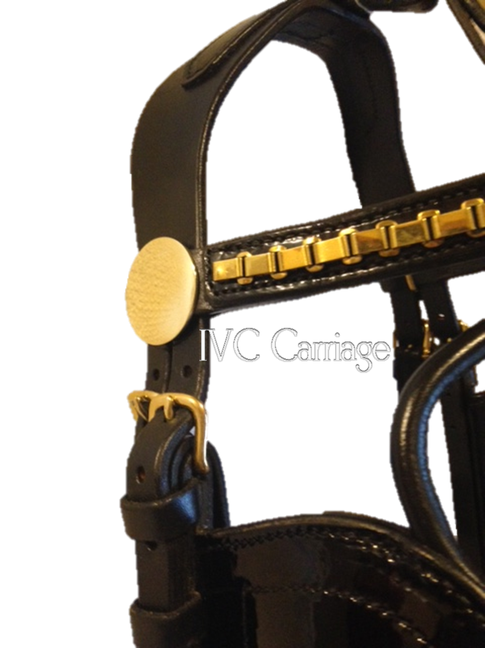 Leather Elite Horse Harness Bridle | IVC Carriage
