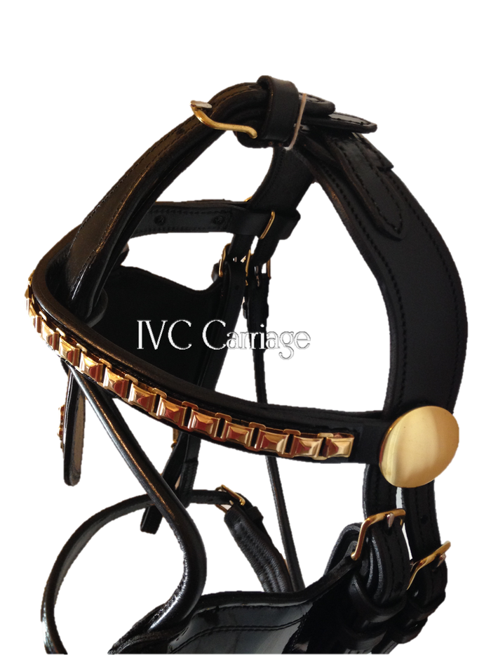 IVC Elite Shaped Crown