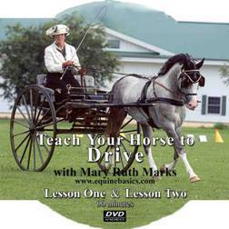 Teach Your Horse to Drive DVD