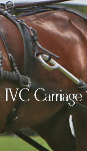 Horse Harness Wrap Tugs | IVC Carriage 